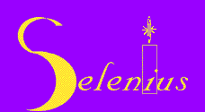 Selenius Systemkonsult, blinkande logga
